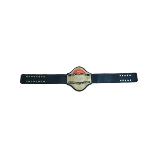 ECW World Television Heavyweight Championship Belt (4)