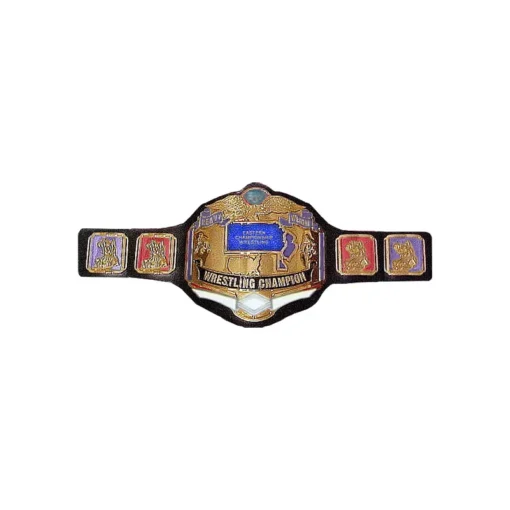 ECW Wrestling Championship Title Belt