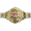 TNA Knockouts World Wrestling Championship Belt (2024)