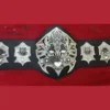 Custom TNA Jeff Hardy Championship Belt