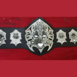 Custom TNA Jeff Hardy Championship Belt