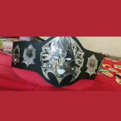 custom TNA jeff hardy championship belt (4)