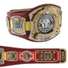 2025 Farewell Tour Brussels Replica Title Belt