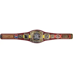 2025 Farewell Tour Brussels Replica Title Belt 3