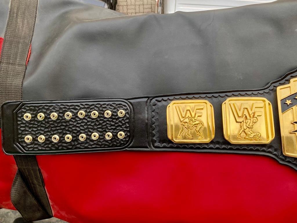 WWF INTERCONTINENTAL CNC CHAMPIONSHIP BELT strap