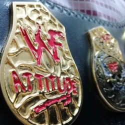 WWF STONE COLD SMOKING SKULL 24K GOLD Championship Belt 4 - Championshipbeltmaker