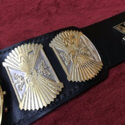 WWF WINGED EAGLE DUAL PLATED 24K GOLD 2 - Championshipbeltmaker