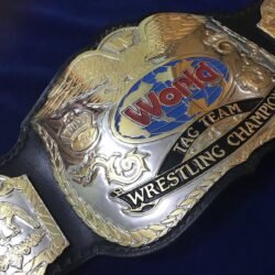 Alternative view of WWF WORLD TAG TEAM DUAL PLATED 24K GOLD Zinc Championship Belt
