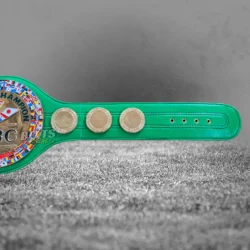 Custom WBC Boxing belt 2 - Championshipbeltmaker